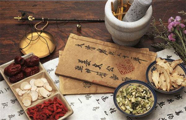 Ngành y học cổ truyền