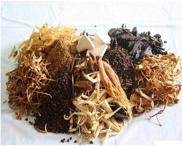 Đông y trị liệu ung thư phổi