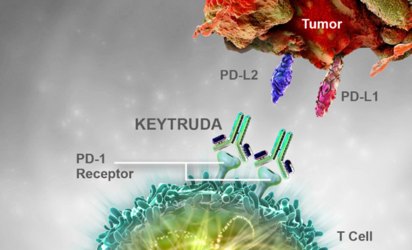 Thuốc miễn dịch Keytruda – Bước tiến mới trong điều trị ung thư dạ dày thực quản