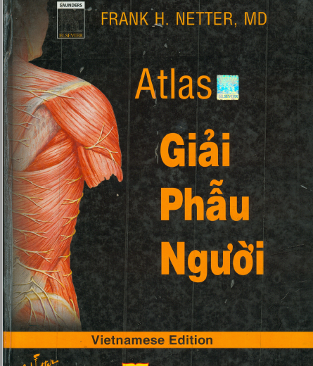 Atlas giải phẫu người Frank H.Netter