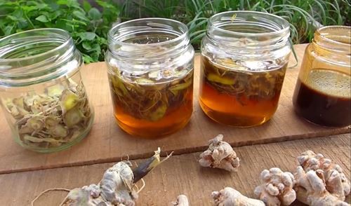 Thực hư về dùng tam thất làm giảm khả năng tình dục và sinh sản