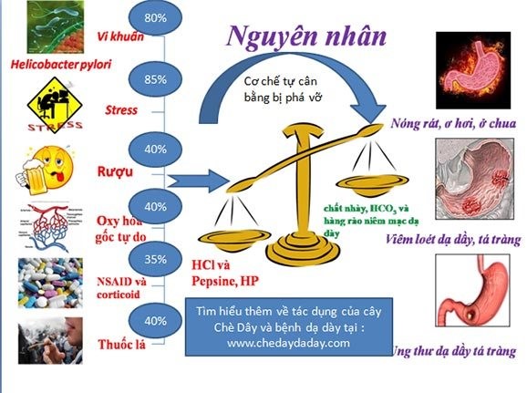 Nguyên nhân gây viêm loét dạ dày – tá tràng