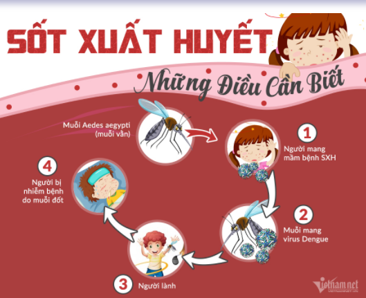 Sốt xuất huyết: Những điều cần biết