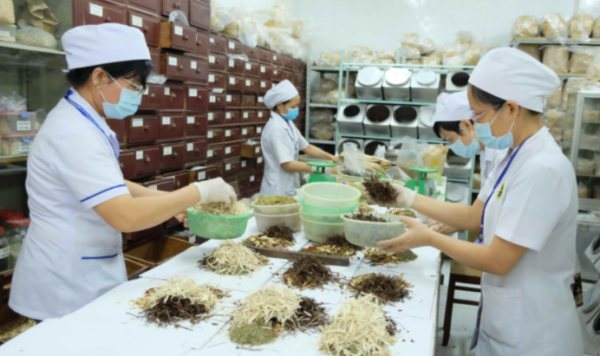 Hướng dẫn sử dụng thuốc cổ truyền, phương pháp y học cổ truyền trong phòng và hỗ trợ điều trị COVID-19