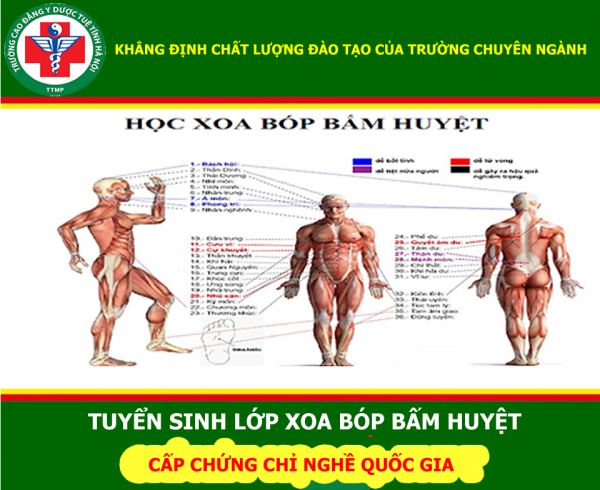 Thông Báo Tuyển Sinh Lớp Xoa Bóp – Bấm Huyệt và Cập Nhật Kiến Thức Chuyên Môn Dược (new)