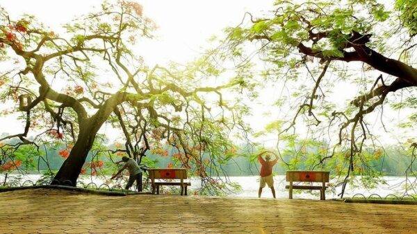 Người Việt sống lâu nhưng nhiều bệnh