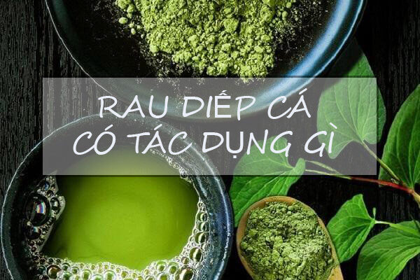 Rau diếp cá