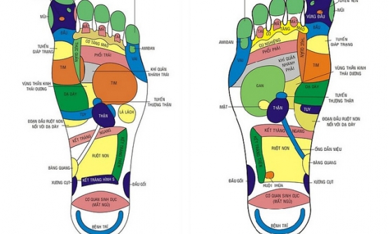 Xoa bóp bàn chân trị bệnh và nâng cao sức khỏe