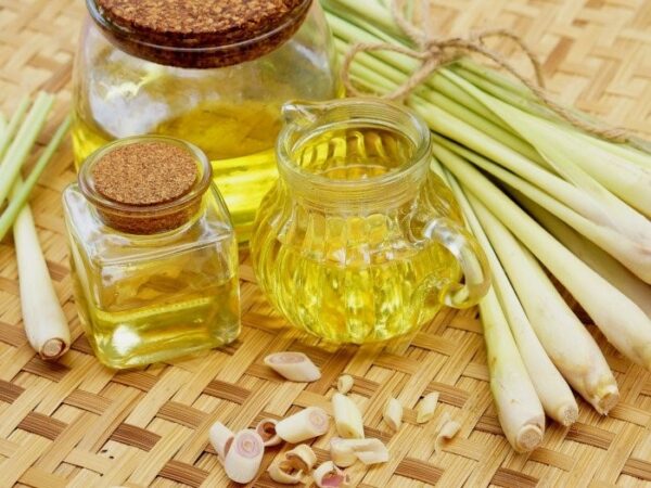 Phòng bệnh Covid-19 bằng Y học cổ truyền