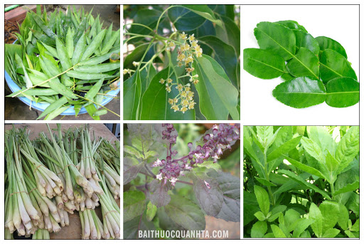Kinh nghiệm cổ truyền trị cảm cúm  