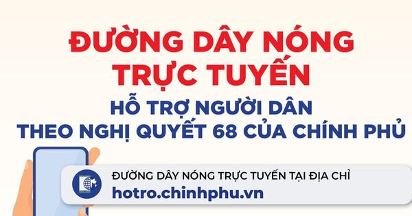 Đường dây nóng trực tuyến hỗ trợ người dân theo Nghị quyết 68 của Chính phủ