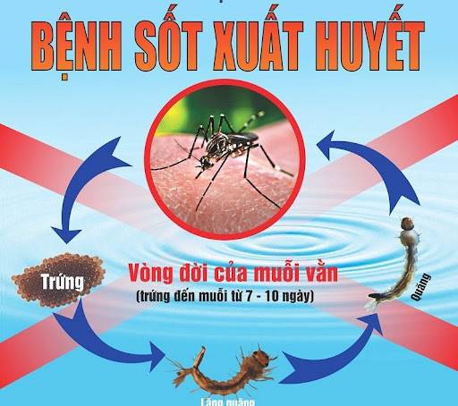 Cảnh giác với dịch sốt xuất huyết thời điểm giao mùa